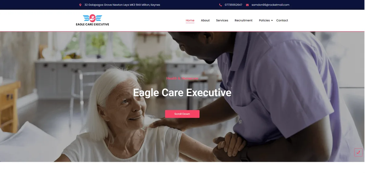 Eagle Care website example