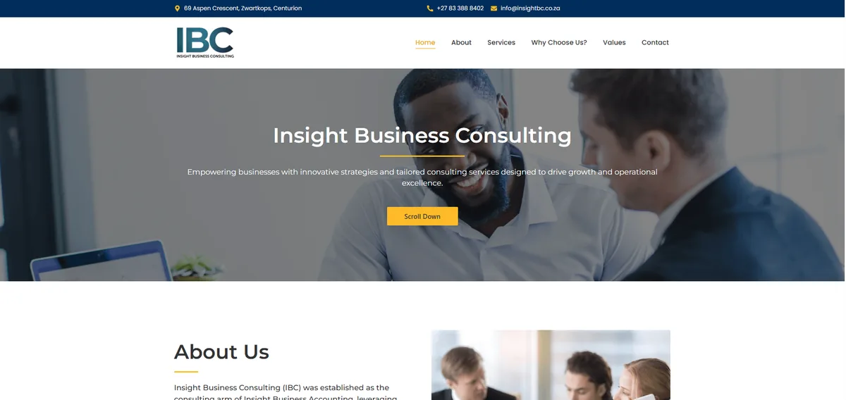 Insight Business website example