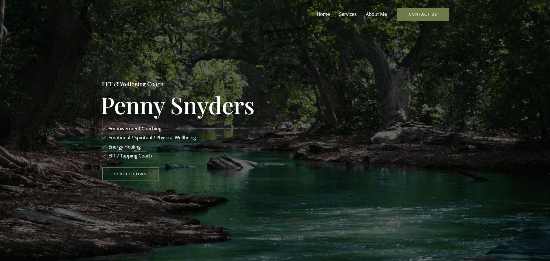 Penny Snyders website with Hostking web hosting