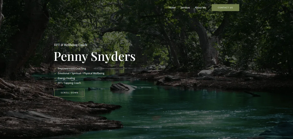 Penny Snyders website example